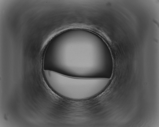 X0000094911504200711290948