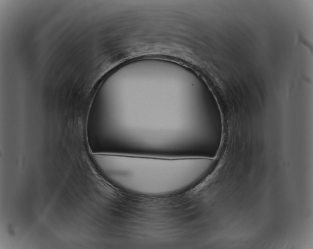 X0000094911505200711290948