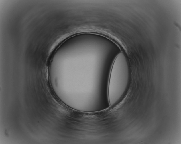 X0000094911509200711290948