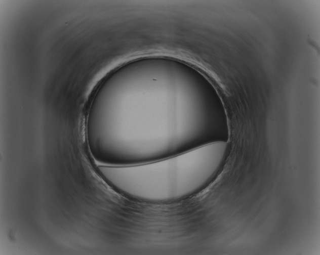 X0000094911510200711290948