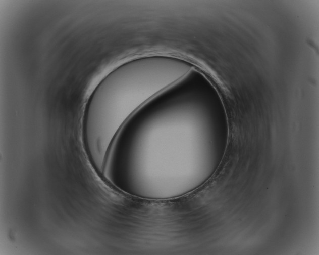 X0000094911512200711290948