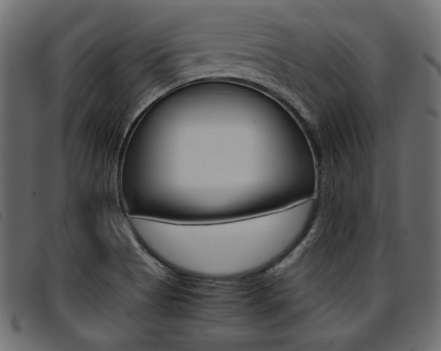 X0000094911513200711290948
