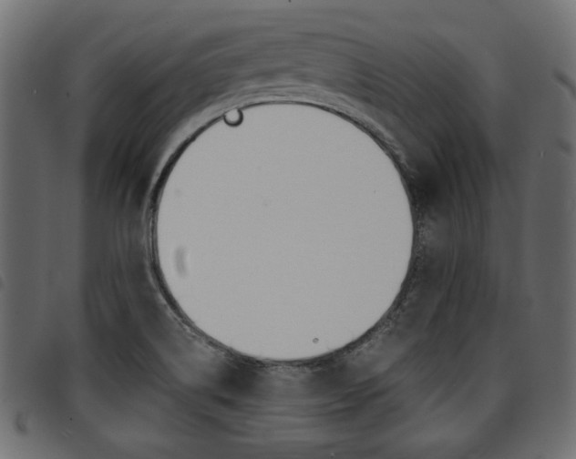 X0000094911514200711290948