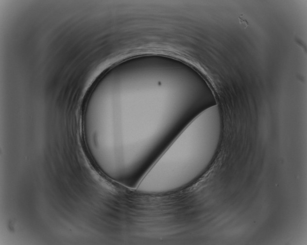 X0000094911515200711290948