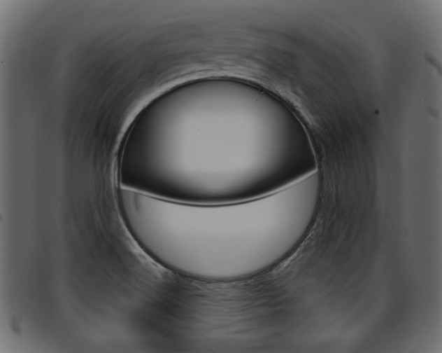 X0000094911516200711290948