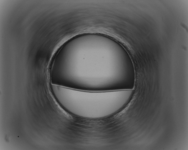 X0000094911517200711290948