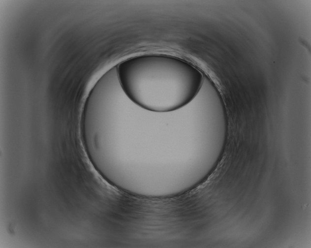 X0000094911520200711290948