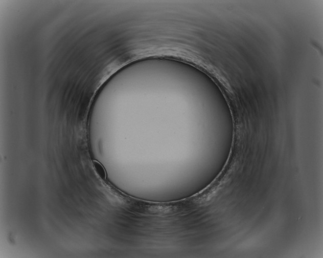 X0000094911521200711290948