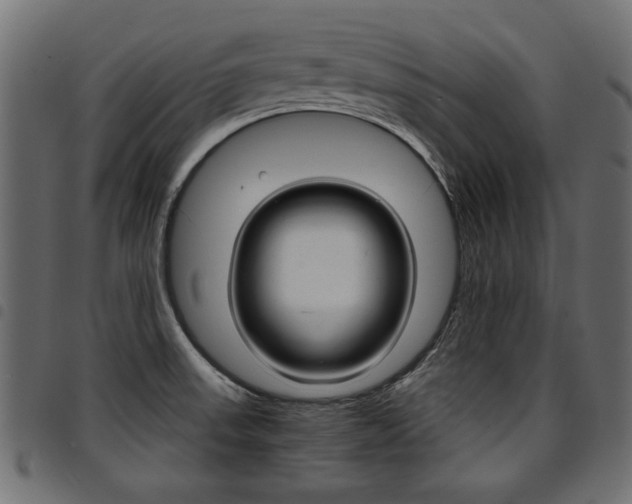 X0000094911523200711290948