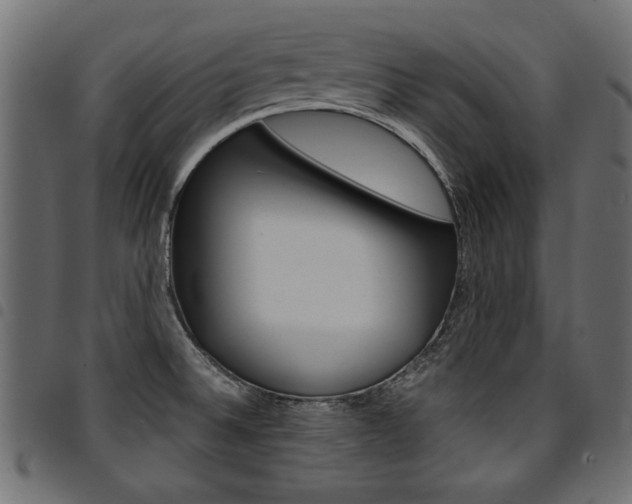 X0000094911524200711290948