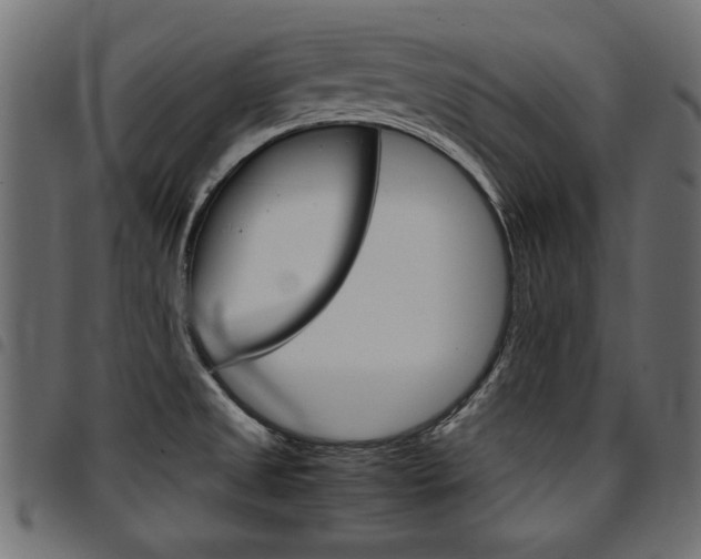 X0000094911525200711290948