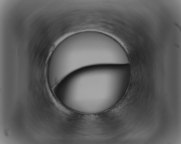 X0000094911526200711290948