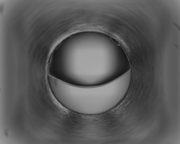 X0000094911528200711290948