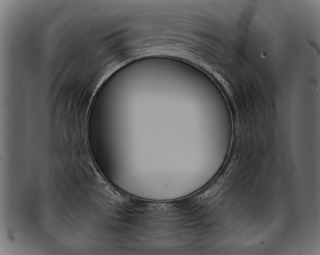 X0000094911529200711290948