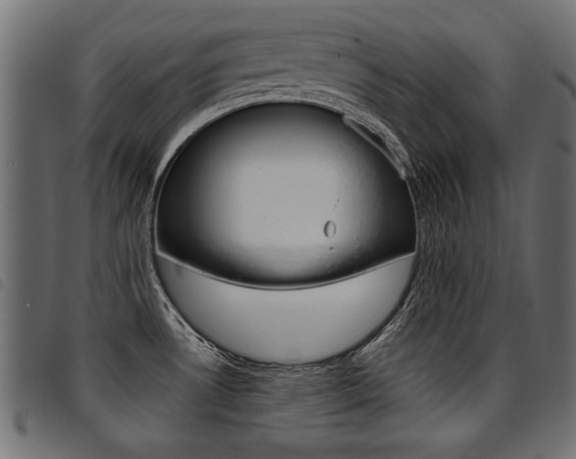X0000094911530200711290948
