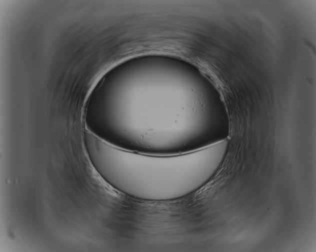 X0000094911532200711290948
