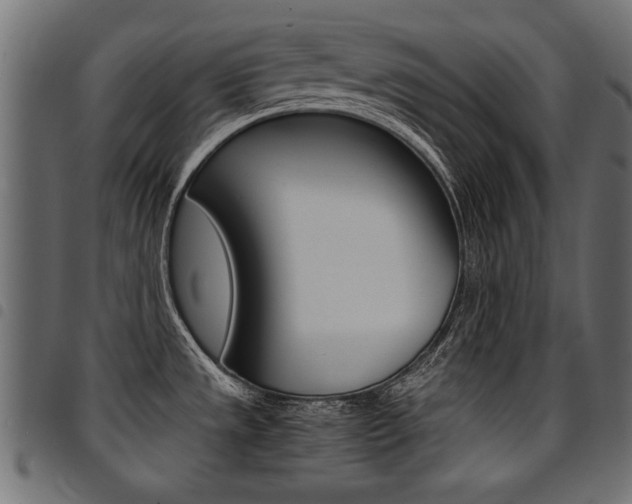 X0000094911533200711290948