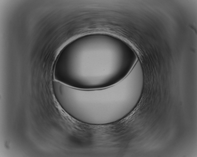 X0000094911534200711290948