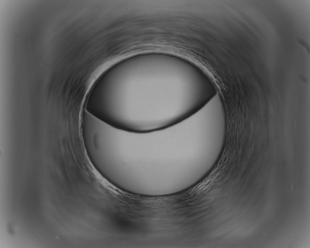 X0000094911535200711290948