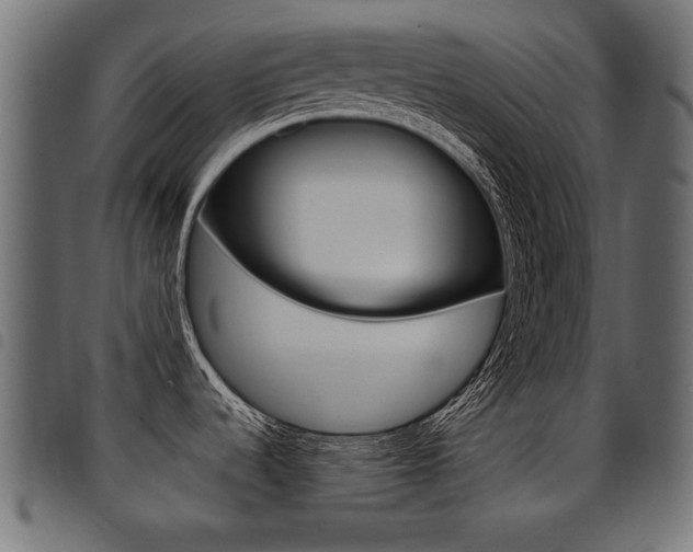 X0000094911536200711290948
