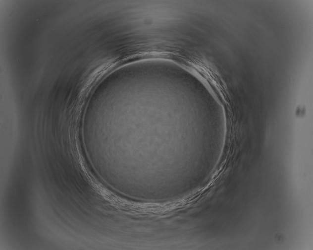 X0000094910001200711291306