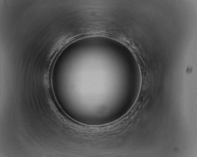 X0000094910002200711291306