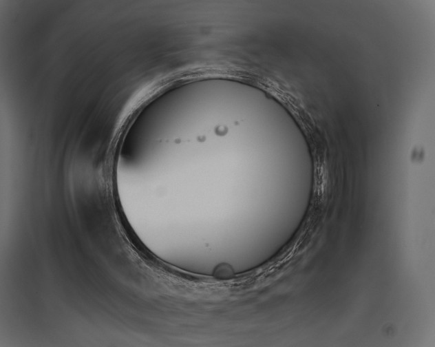 X0000094910004200711291306