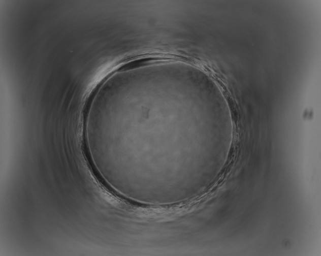X0000094910005200711291306