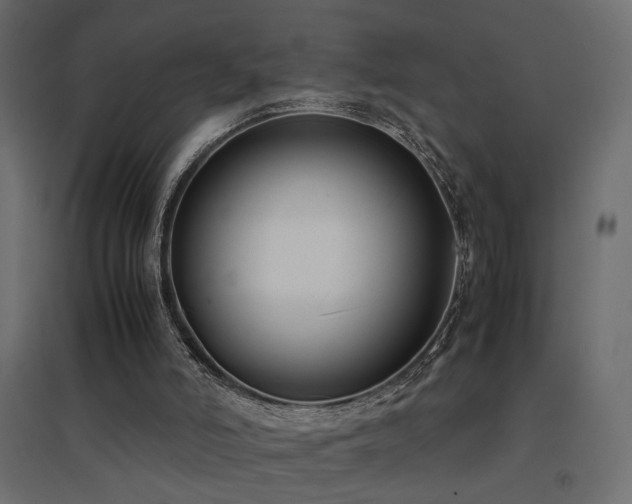 X0000094910006200711291306
