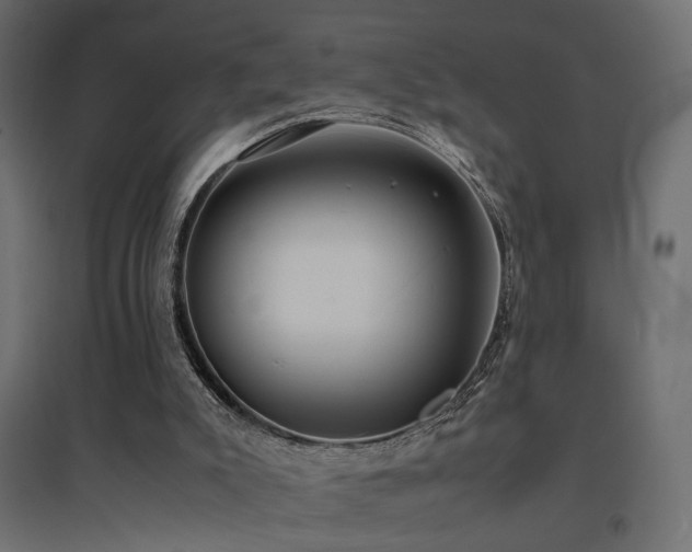 X0000094910007200711291306