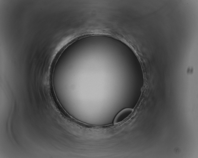 X0000094910008200711291306