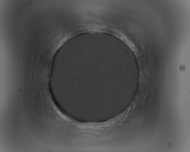 X0000094910009200711291306