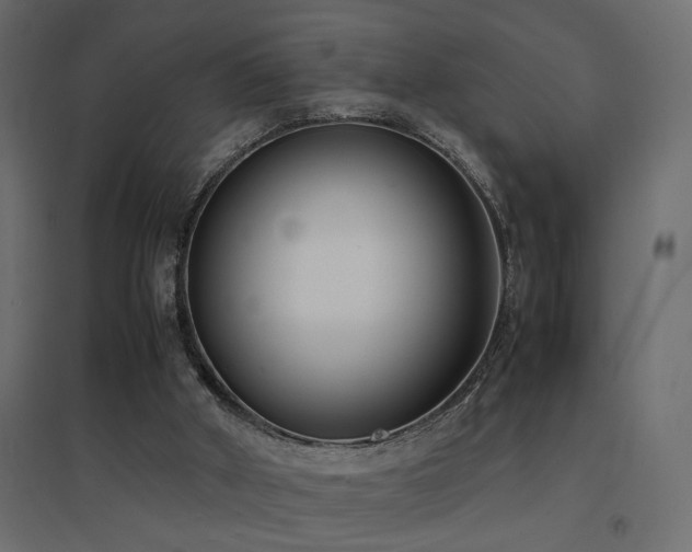 X0000094910010200711291306