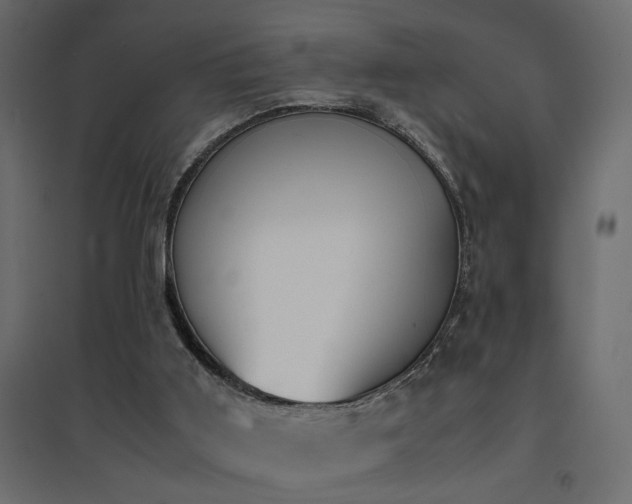 X0000094910011200711291306