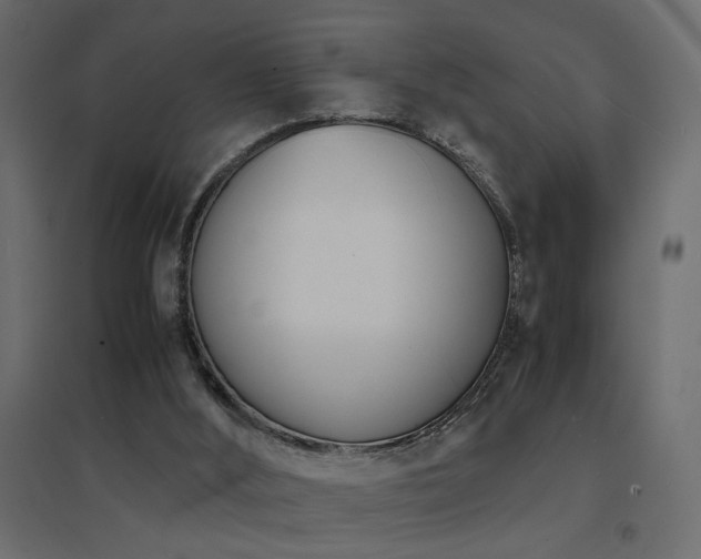 X0000094910012200711291306