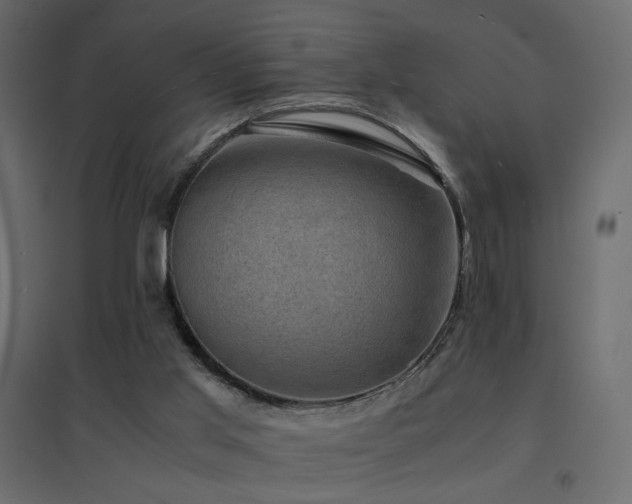 X0000094910013200711291306