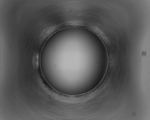 X0000094910014200711291306