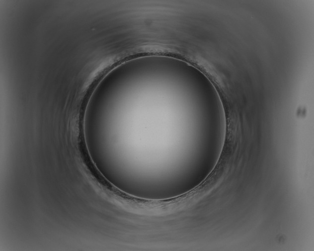 X0000094910015200711291306