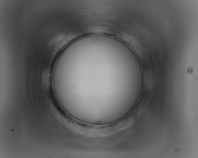 X0000094910016200711291306