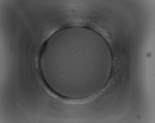 X0000094910017200711291306