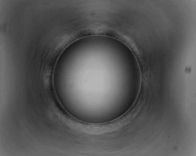 X0000094910018200711291306