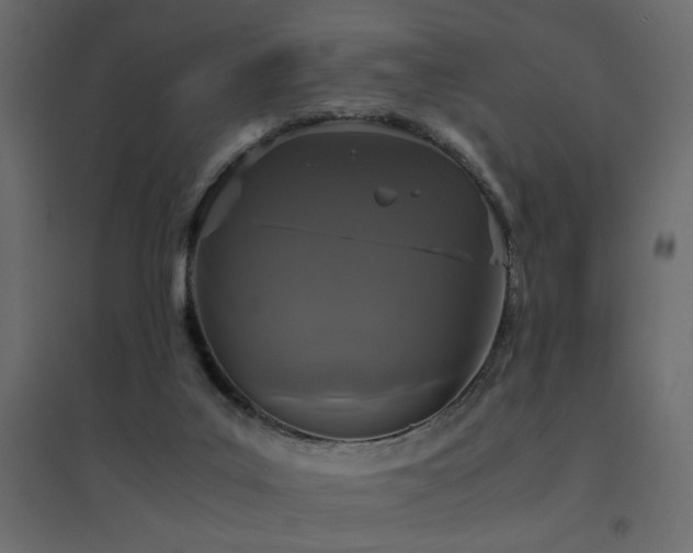 X0000094910019200711291306