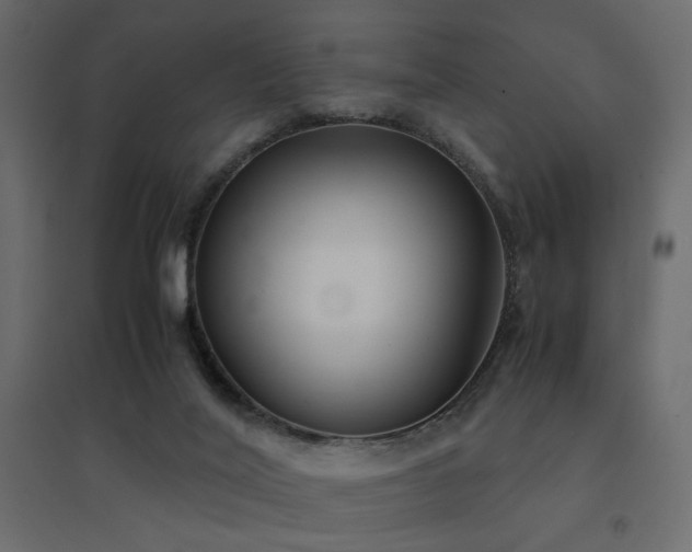 X0000094910020200711291306