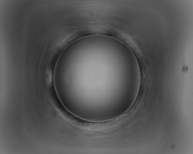 X0000094910021200711291306