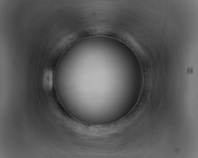 X0000094910022200711291306