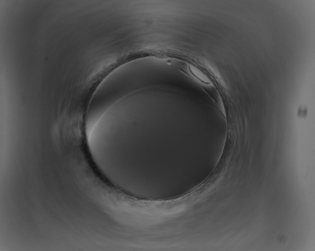 X0000094910023200711291306