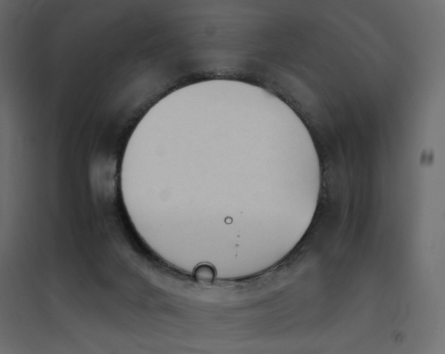 X0000094910024200711291306
