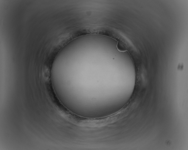 X0000094910025200711291306