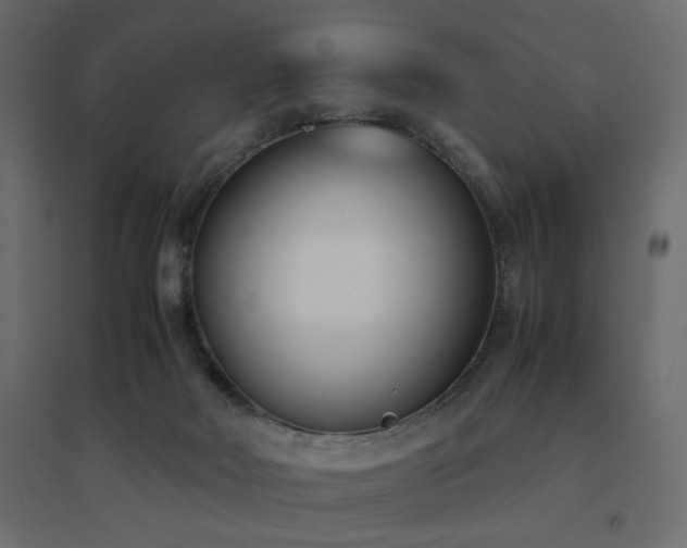X0000094910026200711291306