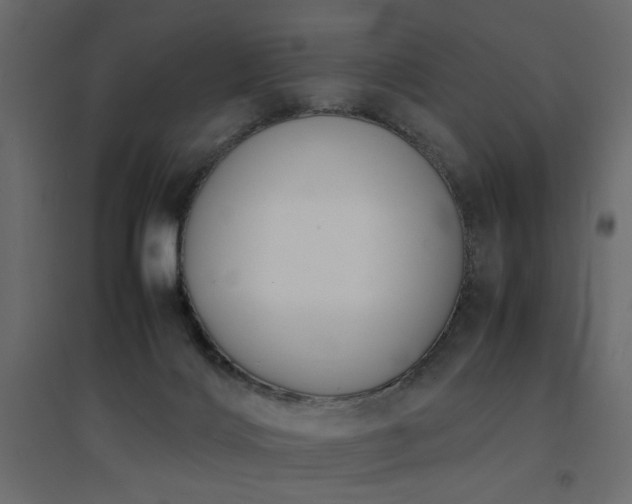 X0000094910028200711291306